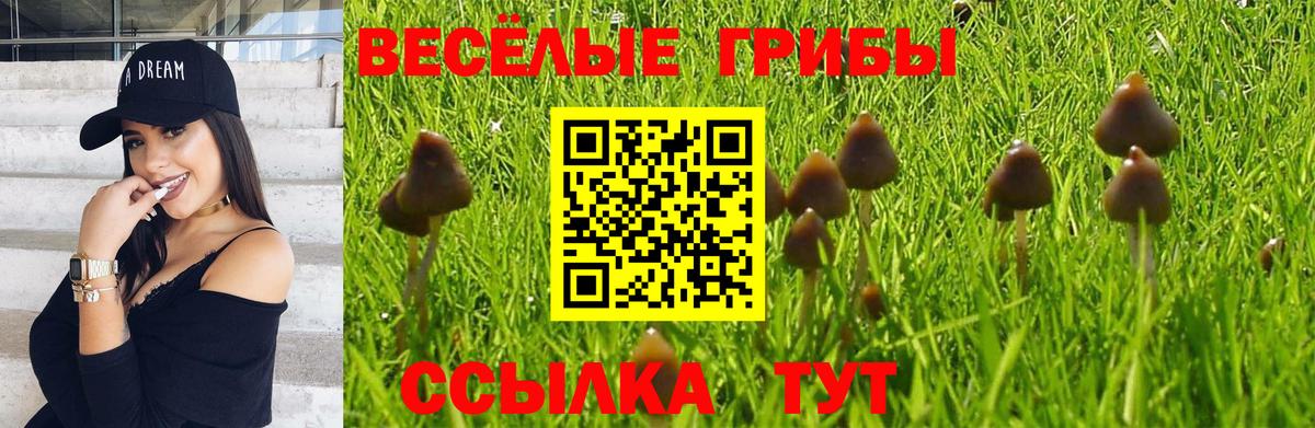 Галлюциногенные грибы Magic Shrooms  Вход с VPN  Галлюциногенные грибы ЛСД  Нефтеюганск 